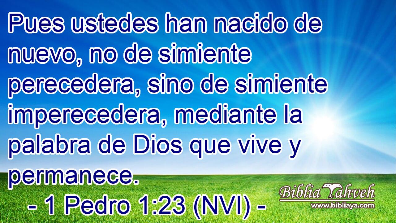  Pues ustedes han nacido de nuevo, no de simiente perecedera, sino de simiente imperecedera, mediante la palabra de Dios que vive y permanece. 