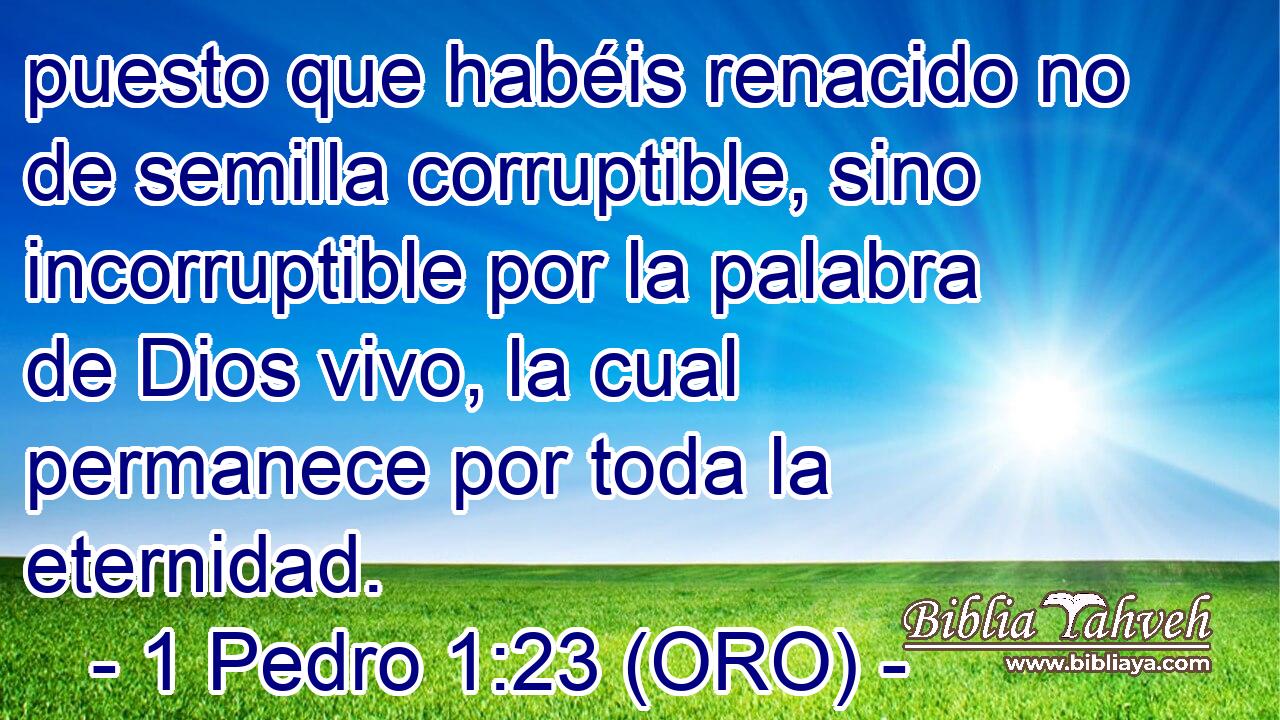  puesto que habéis renacido no de semilla corruptible, sino incorruptible por la palabra de Dios vivo, la cual permanece por toda la eternidad. 