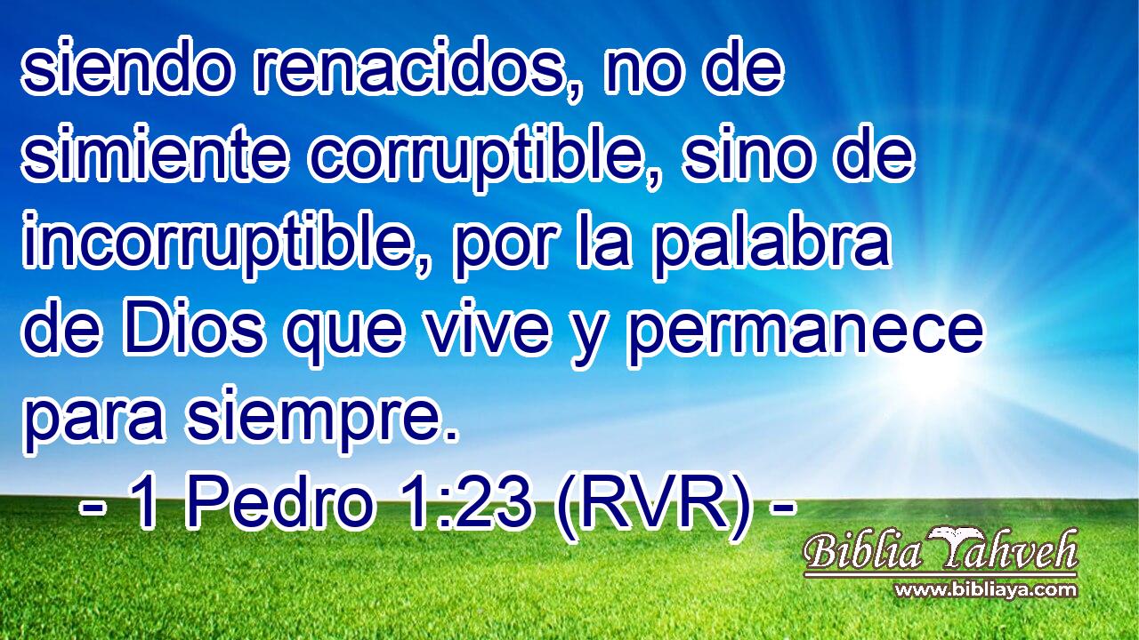 siendo renacidos, no de simiente corruptible, sino de incorruptible, por la palabra de Dios que vive y permanece para siempre.