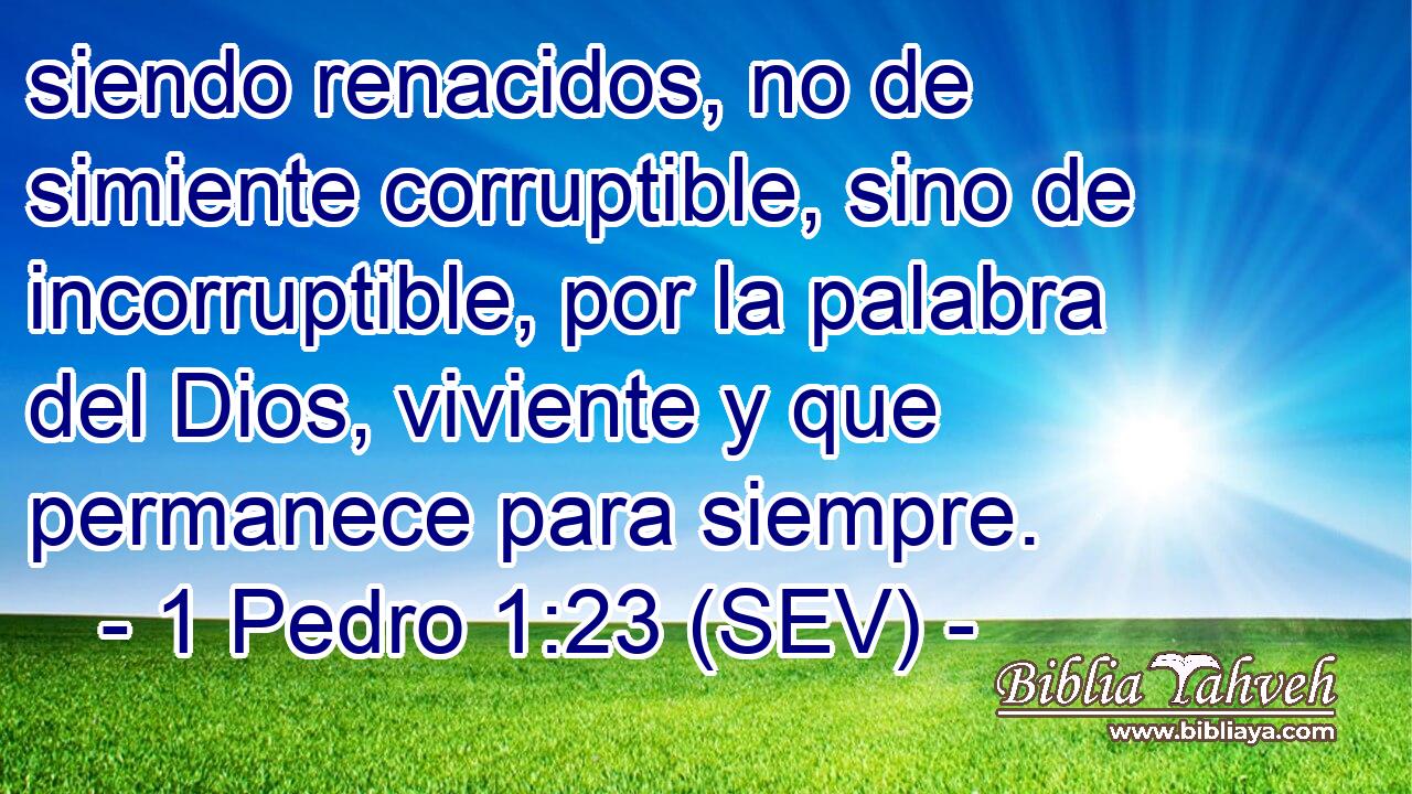 siendo renacidos, no de simiente corruptible, sino de incorruptible, por la palabra del Dios, viviente y que permanece para siempre.