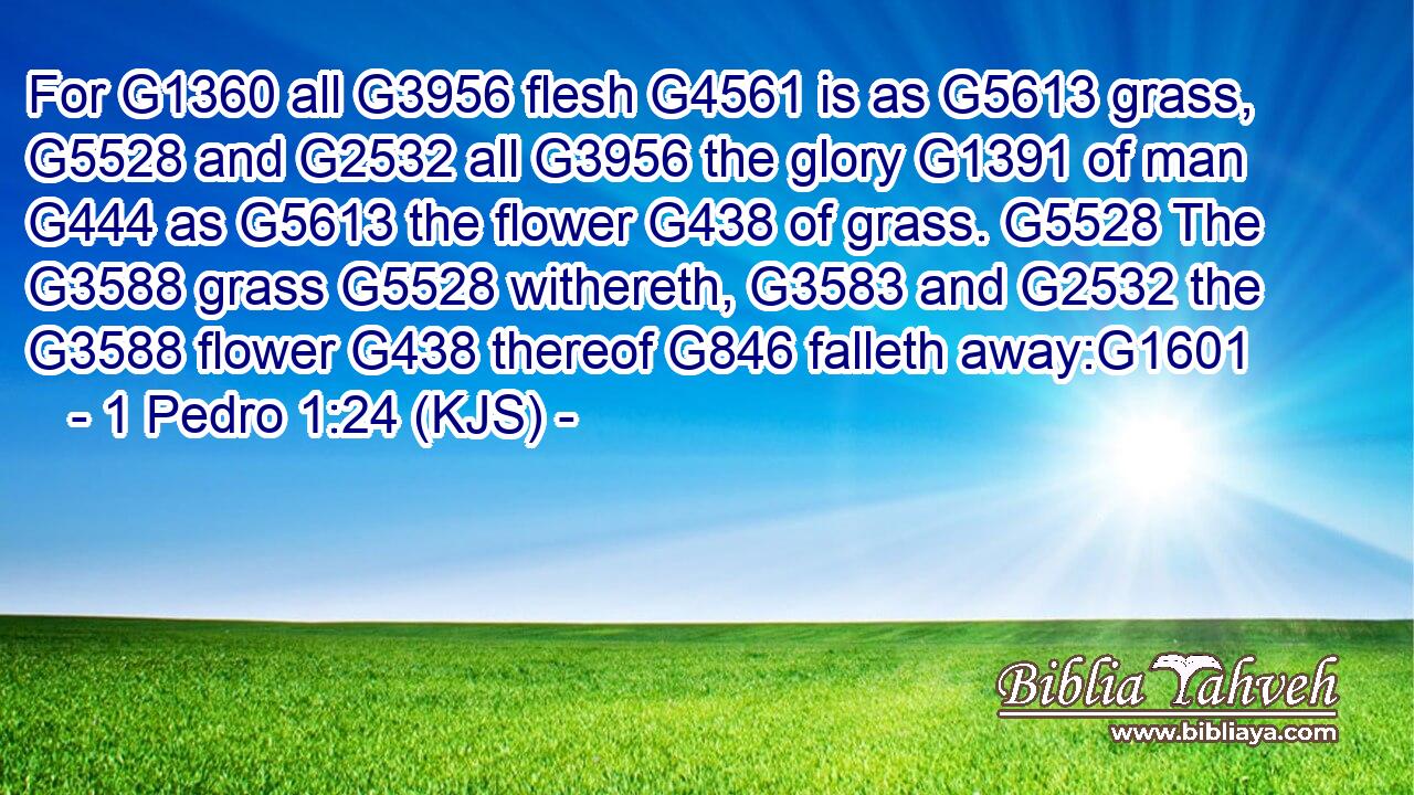 For G1360 all G3956 flesh G4561 is as G5613 grass, G5528 and G2532 all G3956 the glory G1391 of man G444 as G5613 the flower G438 of grass. G5528 The G3588 grass G5528 withereth, G3583 and G2532 the G3588 flower G438 thereof G846 falleth away:G1601