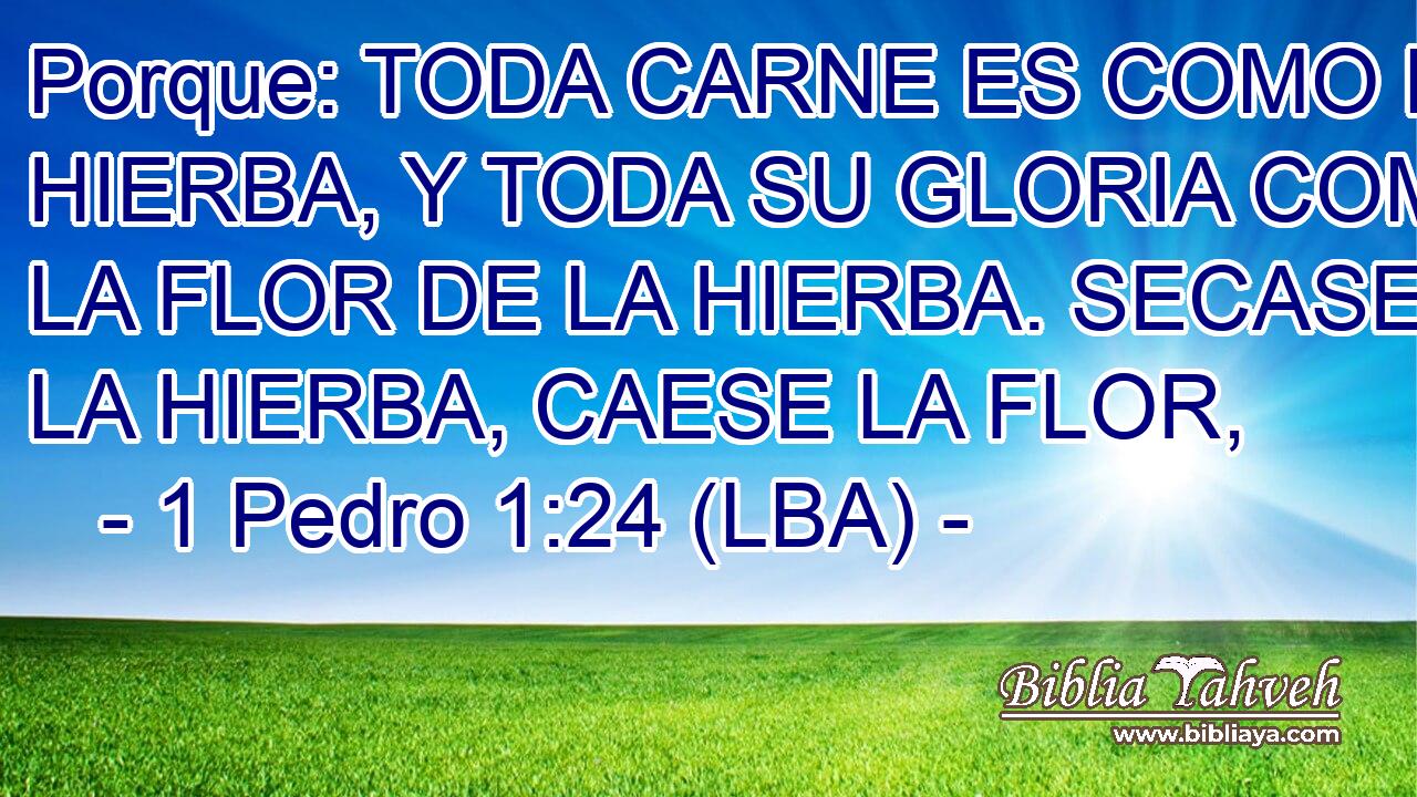 Porque: TODA CARNE ES COMO LA HIERBA, Y TODA SU GLORIA COMO LA FLOR DE LA HIERBA. SECASE LA HIERBA, CAESE LA FLOR,