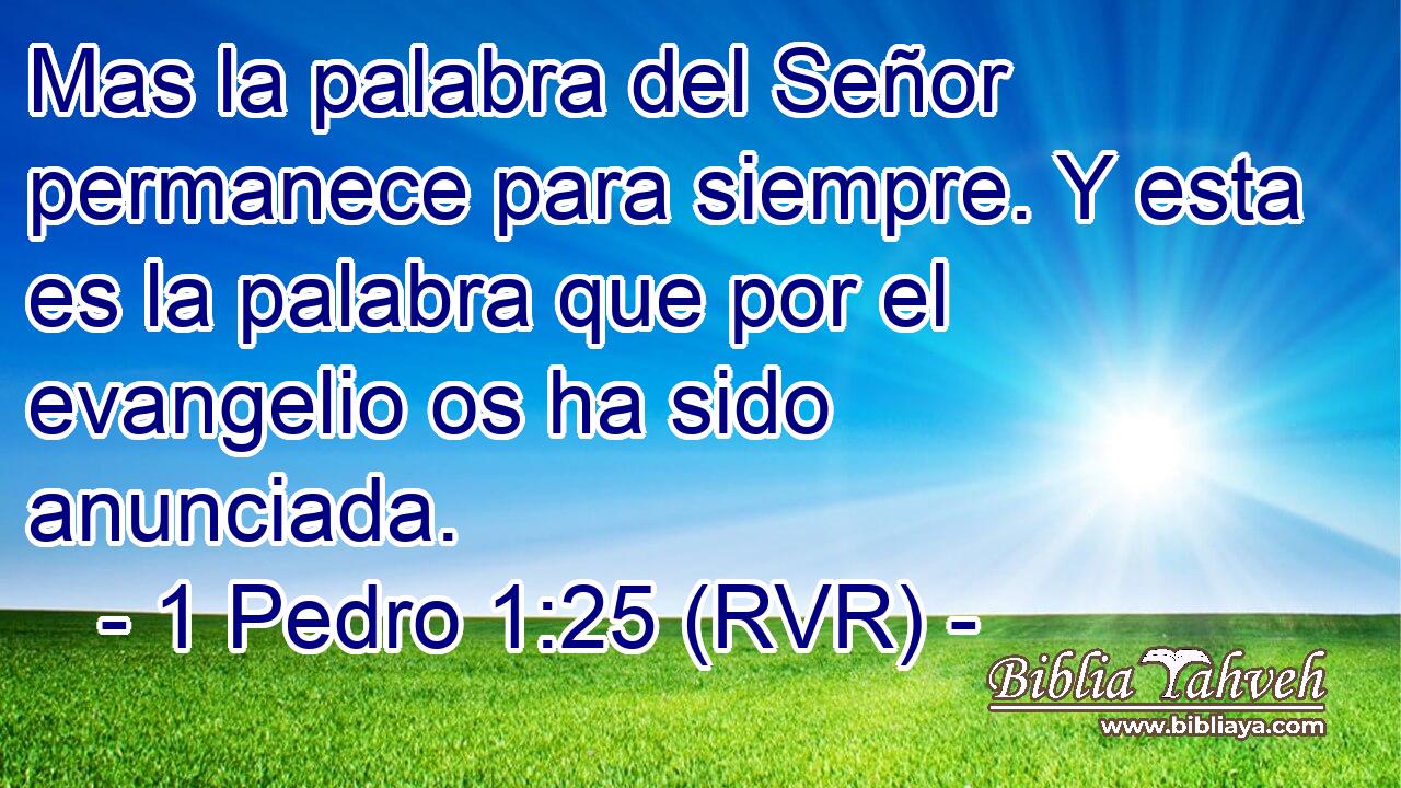 Mas la palabra del Señor permanece para siempre. Y esta es la palabra que por el evangelio os ha sido anunciada.