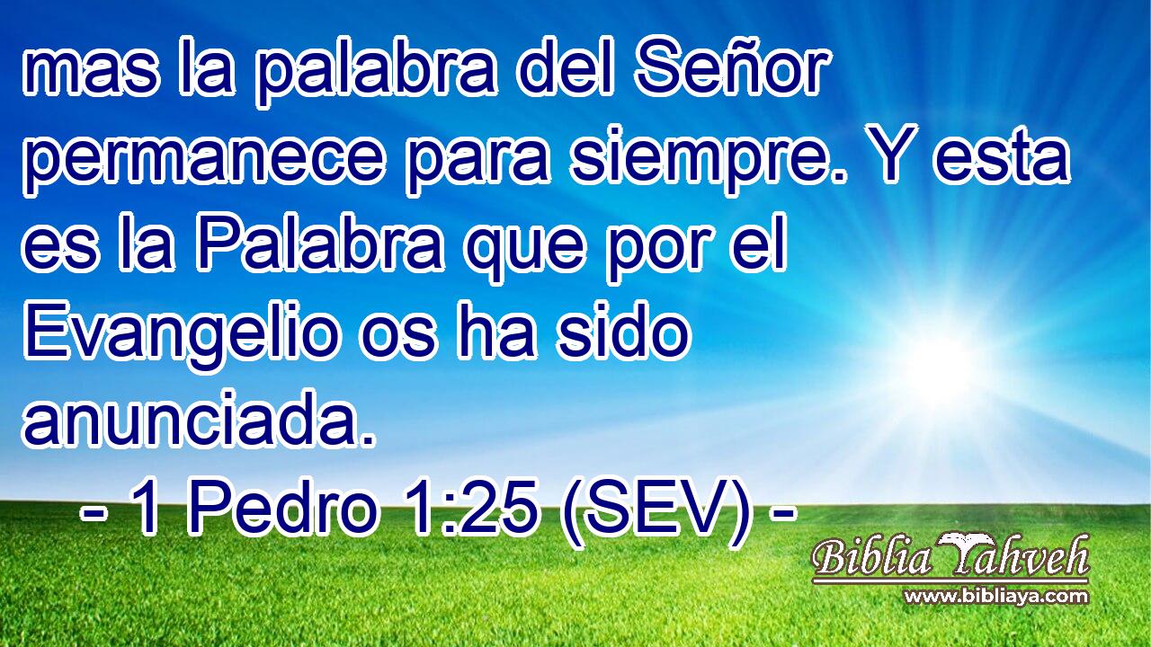 mas la palabra del Señor permanece para siempre. Y esta es la Palabra que por el Evangelio os ha sido anunciada.