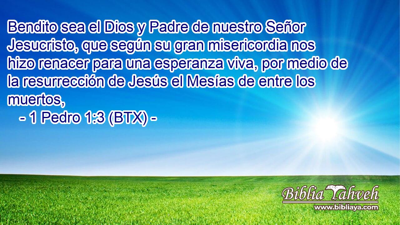 Bendito sea el Dios y Padre de nuestro Señor Jesucristo, que según su gran misericordia nos hizo renacer para una esperanza viva, por medio de la resurrección de Jesús el Mesías de entre los muertos,