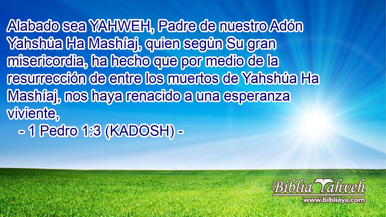  Alabado sea YAHWEH, Padre de nuestro Adón Yahshúa Ha Mashíaj, quien según Su gran misericordia, ha hecho que por medio de la resurrección de entre los muertos de Yahshúa Ha Mashíaj, nos haya renacido a una esperanza viviente, 