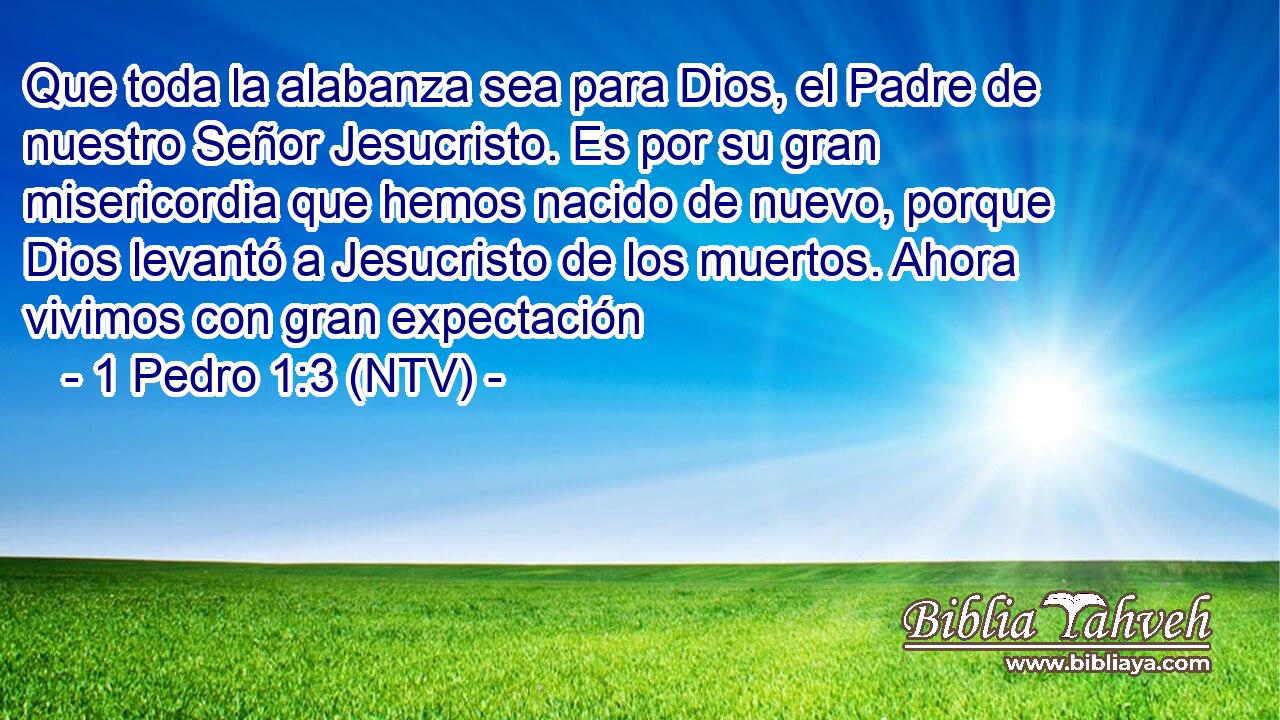 Que toda la alabanza sea para Dios, el Padre de nuestro Señor Jesucristo. Es por su gran misericordia que hemos nacido de nuevo, porque Dios levantó a Jesucristo de los muertos. Ahora vivimos con gran expectación