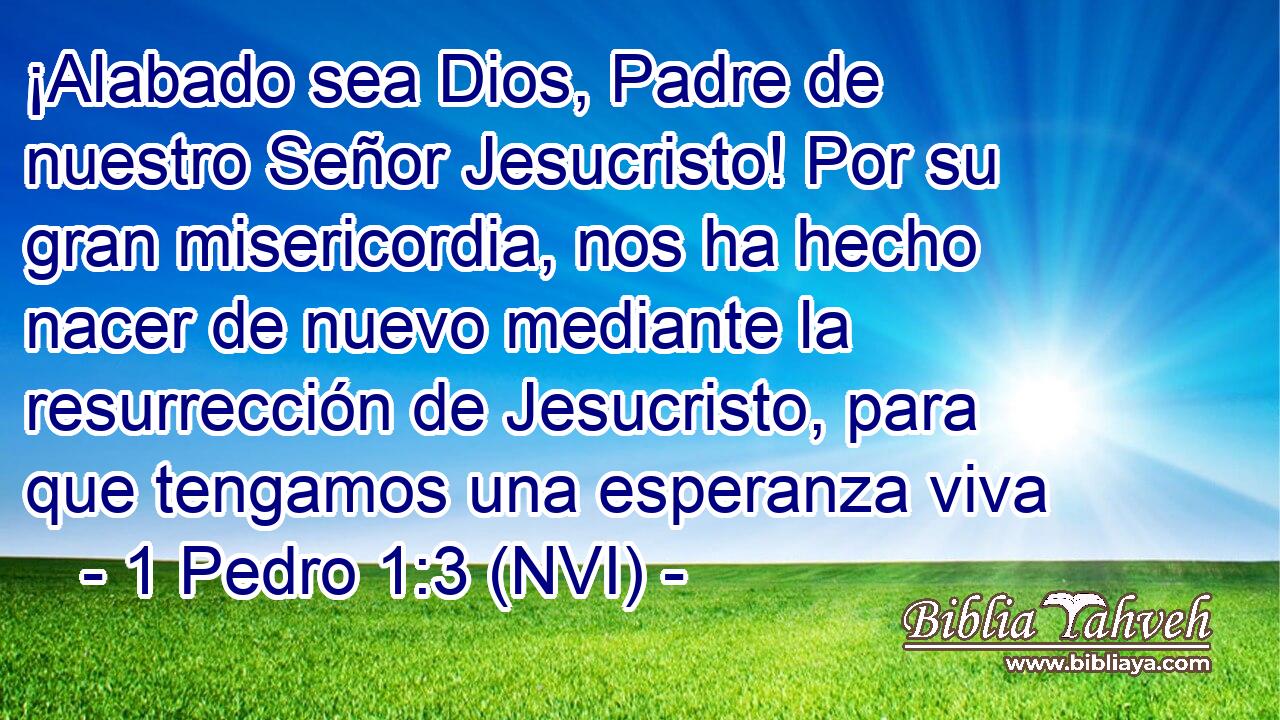  ¡Alabado sea Dios, Padre de nuestro Señor Jesucristo! Por su gran misericordia, nos ha hecho nacer de nuevo mediante la resurrección de Jesucristo, para que tengamos una esperanza viva 