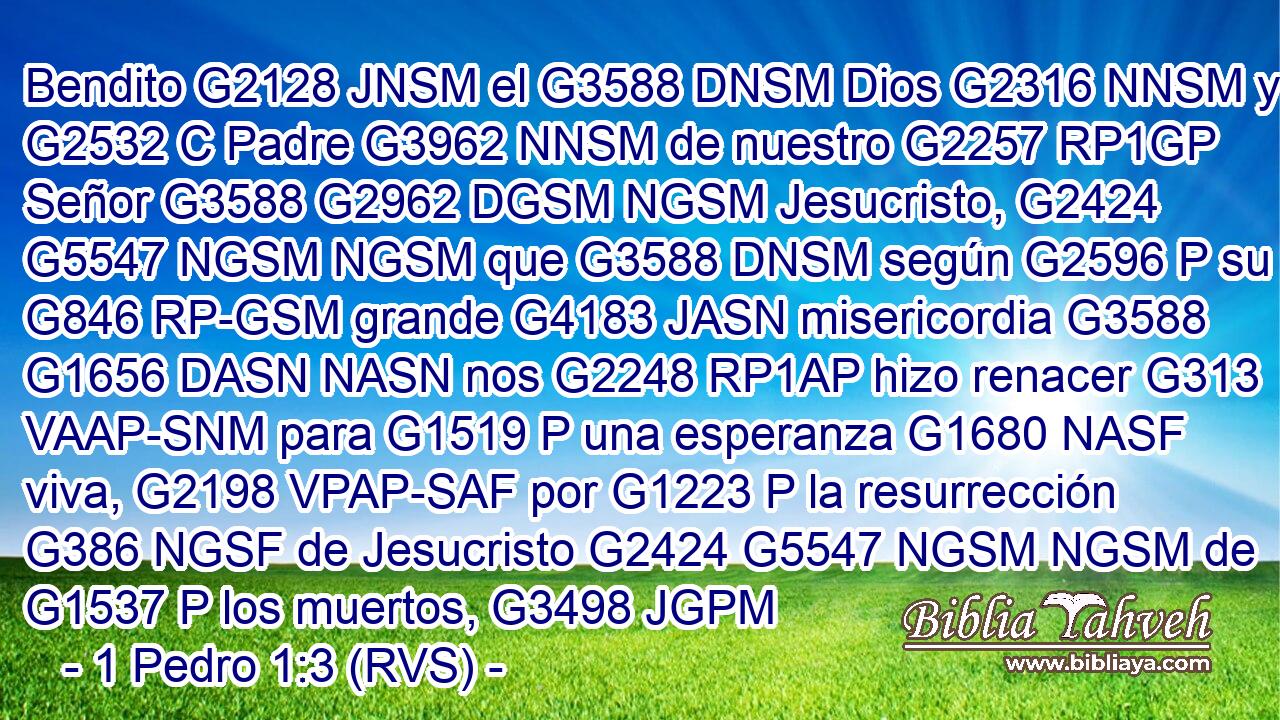 Bendito G2128 JNSM el G3588 DNSM Dios G2316 NNSM y G2532 C Padre G3962 NNSM de nuestro G2257 RP1GP Señor G3588 G2962 DGSM NGSM Jesucristo, G2424 G5547 NGSM NGSM que G3588 DNSM según G2596 P su G846 RP-GSM grande G4183 JASN misericordia G3588 G1656 DASN NASN nos G2248 RP1AP hizo renacer G313 VAAP-SNM para G1519 P una esperanza G1680 NASF viva, G2198 VPAP-SAF por G1223 P la resurrección G386 NGSF de Jesucristo G2424 G5547 NGSM NGSM de G1537 P los muertos, G3498 JGPM