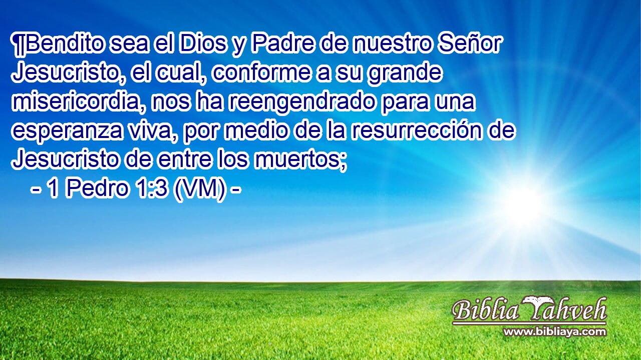  ¶Bendito sea el Dios y Padre de nuestro Señor Jesucristo, el cual, conforme a su grande misericordia, nos ha reengendrado para una esperanza viva, por medio de la resurrección de Jesucristo de entre los muertos; 