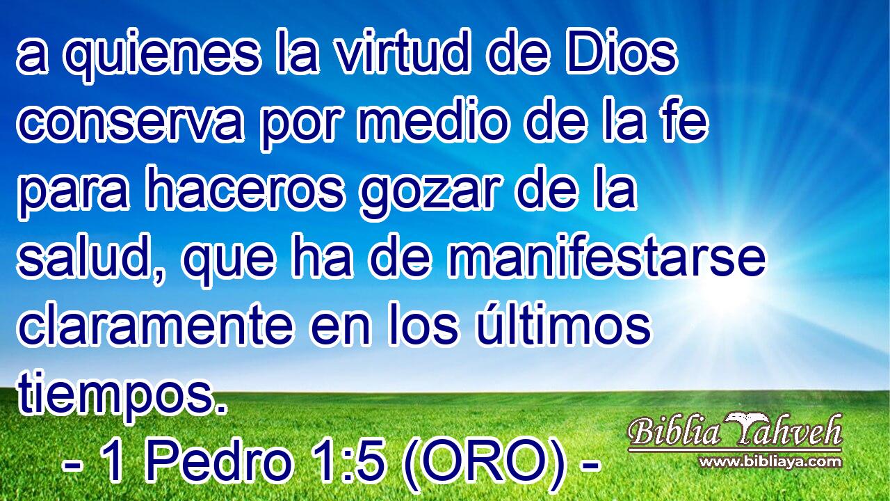  a quienes la virtud de Dios conserva por medio de la fe para haceros gozar de la salud, que ha de manifestarse claramente en los últimos tiempos. 