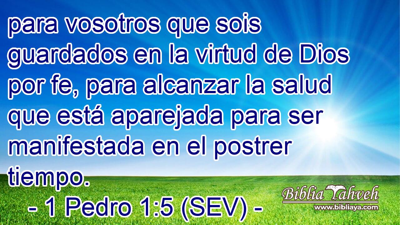 para vosotros que sois guardados en la virtud de Dios por fe, para alcanzar la salud que está aparejada para ser manifestada en el postrer tiempo.