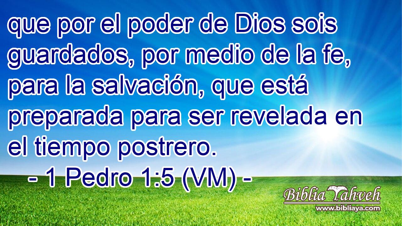  que por el poder de Dios sois guardados, por medio de la fe, para la salvación, que está preparada para ser revelada en el tiempo postrero. 