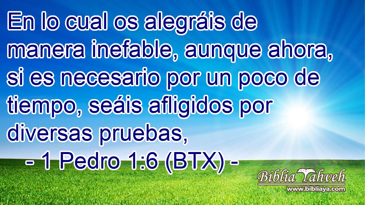 En lo cual os alegráis de manera inefable, aunque ahora, si es necesario por un poco de tiempo, seáis afligidos por diversas pruebas,
