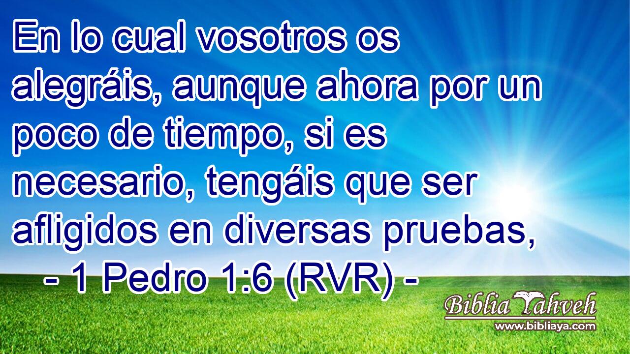 En lo cual vosotros os alegráis, aunque ahora por un poco de tiempo, si es necesario, tengáis que ser afligidos en diversas pruebas,