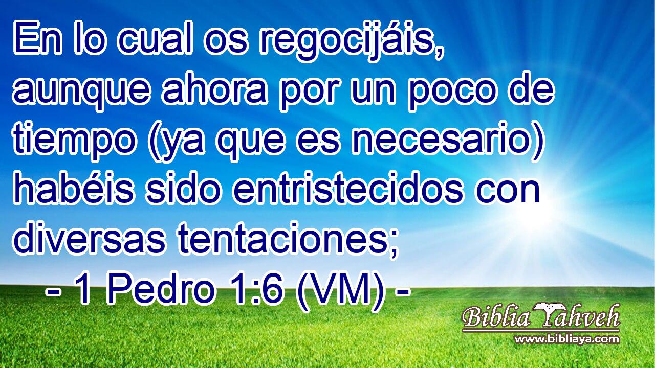  En lo cual os regocijáis, aunque ahora por un poco de tiempo (ya que es necesario) habéis sido entristecidos con diversas tentaciones; 