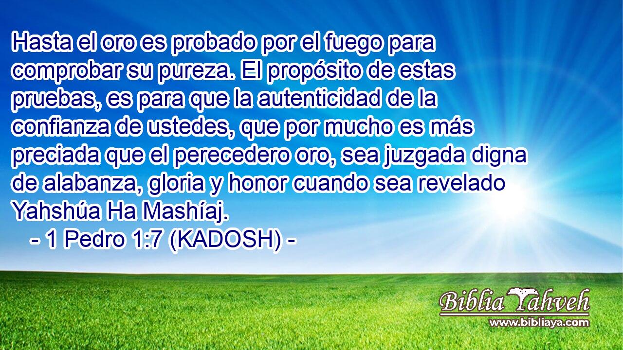  Hasta el oro es probado por el fuego para comprobar su pureza. El propósito de estas pruebas, es para que la autenticidad de la confianza de ustedes, que por mucho es más preciada que el perecedero oro, sea juzgada digna de alabanza, gloria y honor cuando sea revelado Yahshúa Ha Mashíaj. 