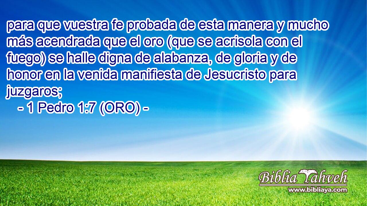  para que vuestra fe probada de esta manera y mucho más acendrada que el oro (que se acrisola con el fuego) se halle digna de alabanza, de gloria y de honor en la venida manifiesta de Jesucristo para juzgaros; 