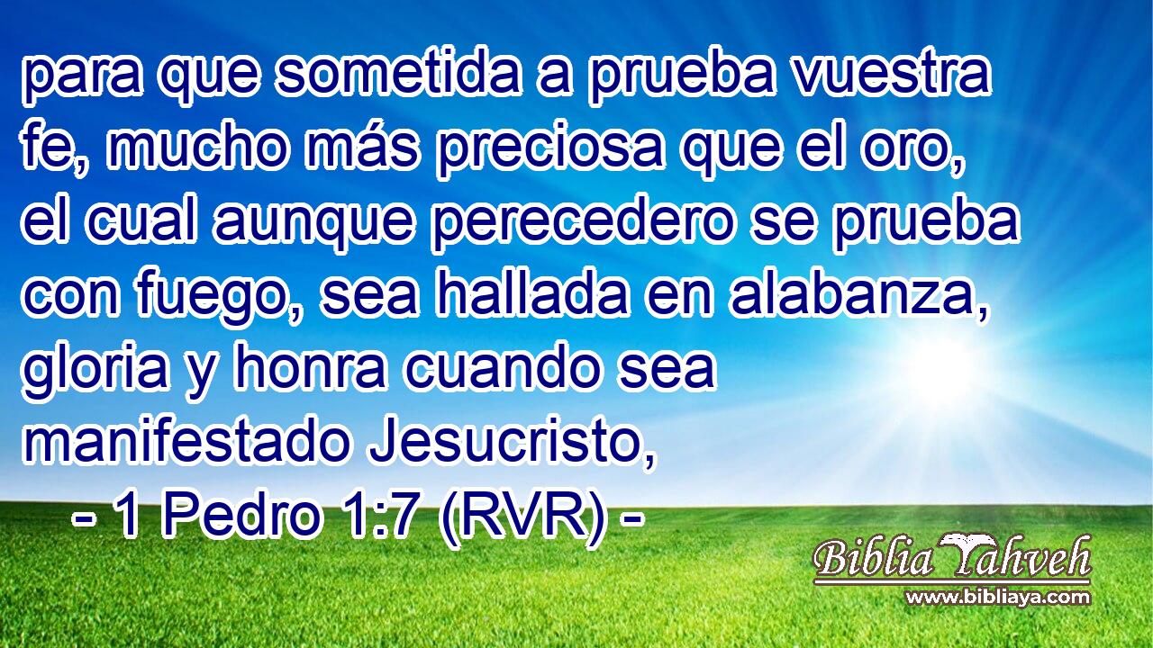 para que sometida a prueba vuestra fe, mucho más preciosa que el oro, el cual aunque perecedero se prueba con fuego, sea hallada en alabanza, gloria y honra cuando sea manifestado Jesucristo,
