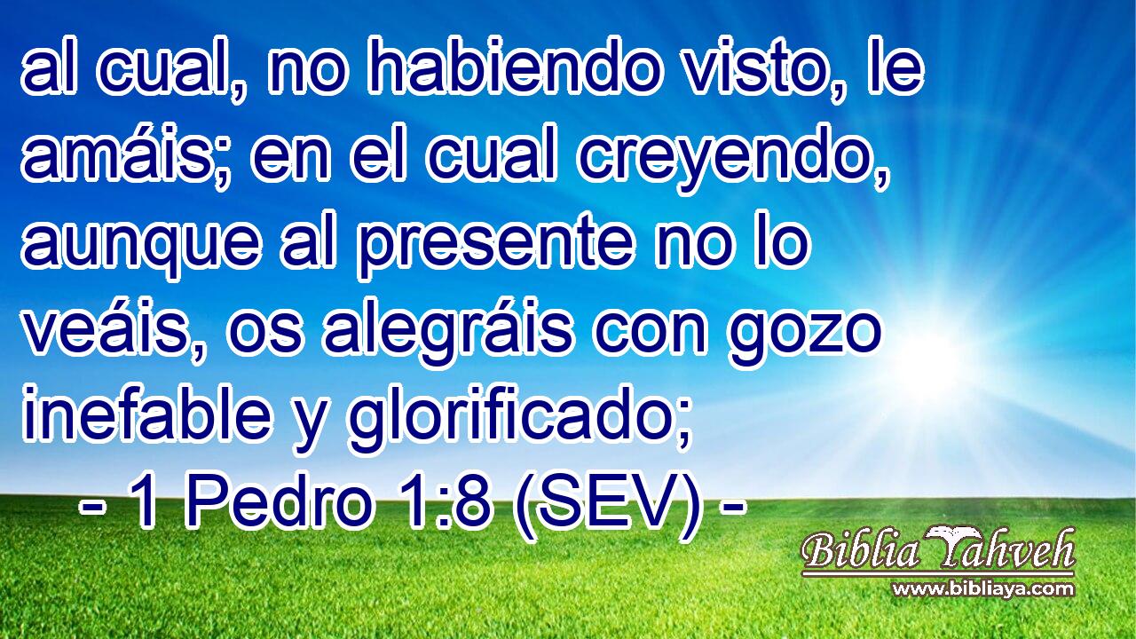 al cual, no habiendo visto, le amáis; en el cual creyendo, aunque al presente no lo veáis, os alegráis con gozo inefable y glorificado;