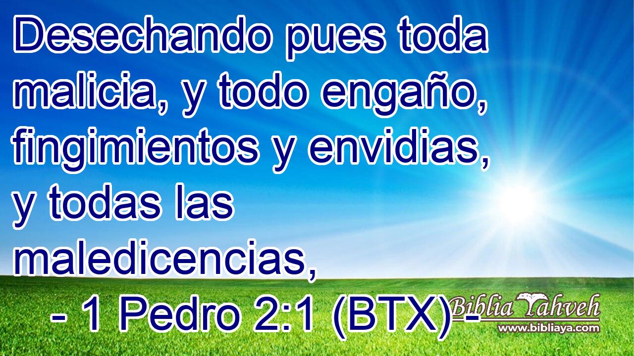 Desechando pues toda malicia, y todo engaño, fingimientos y envidias, y todas las maledicencias,