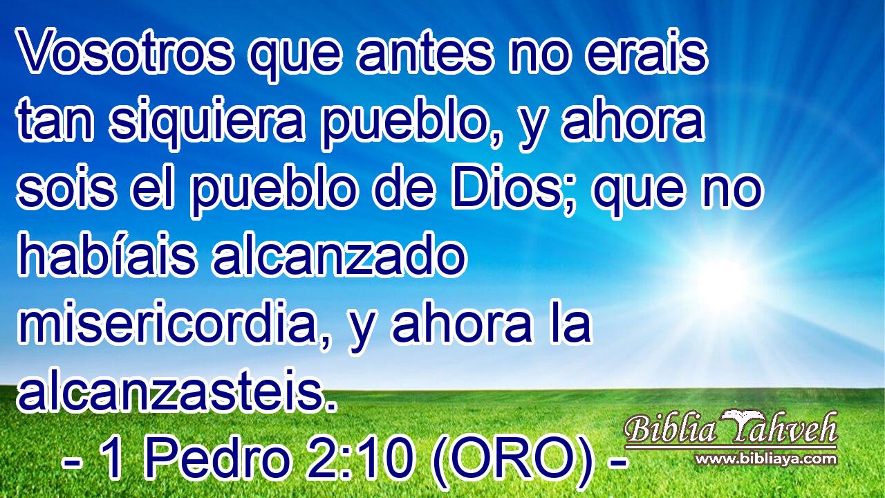  Vosotros que antes no erais tan siquiera pueblo, y ahora sois el pueblo de Dios; que no habíais alcanzado misericordia, y ahora la alcanzasteis. 
