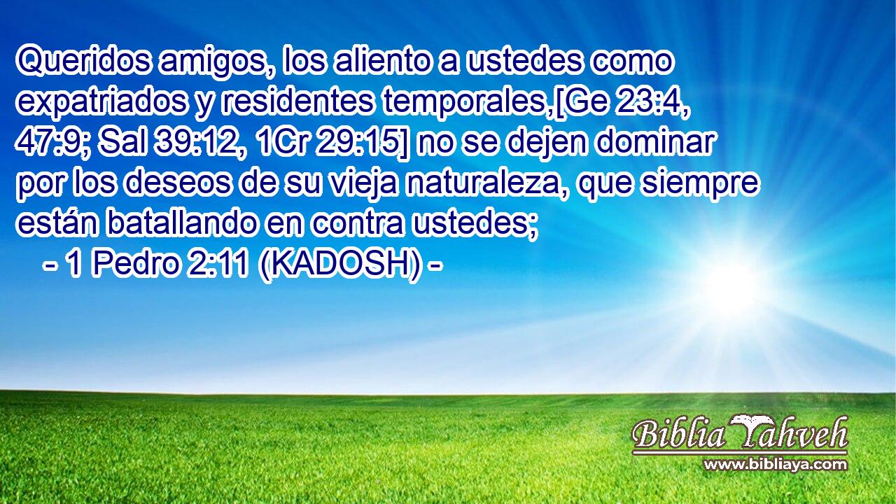  Queridos amigos, los aliento a ustedes como expatriados y residentes temporales,[Ge 23:4, 47:9; Sal 39:12, 1Cr 29:15] no se dejen dominar por los deseos de su vieja naturaleza, que siempre están batallando en contra ustedes; 