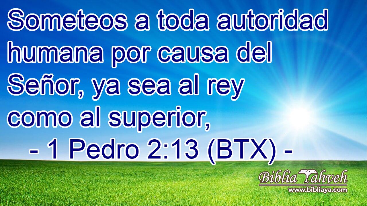 Someteos a toda autoridad humana por causa del Señor, ya sea al rey como al superior,