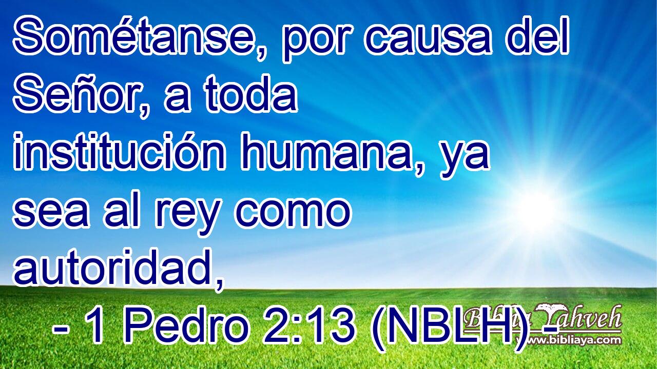  Sométanse, por causa del Señor, a toda institución humana, ya sea al rey como autoridad, 