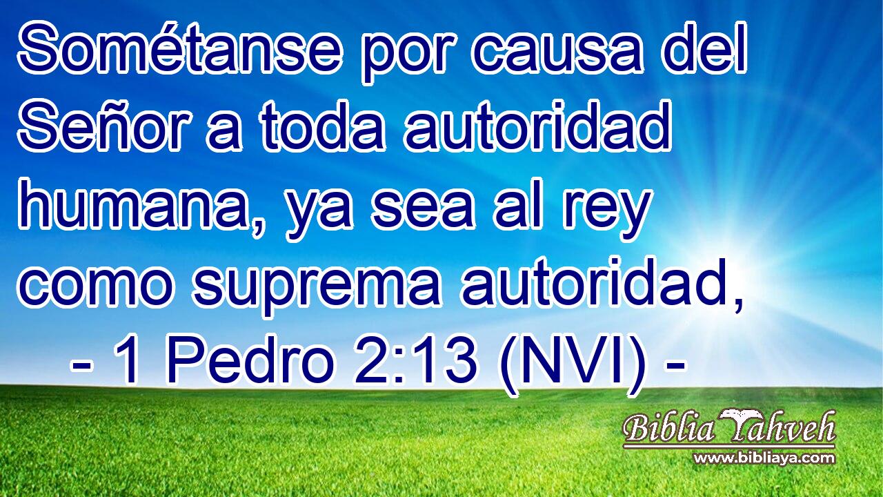  Sométanse por causa del Señor a toda autoridad humana, ya sea al rey como suprema autoridad, 