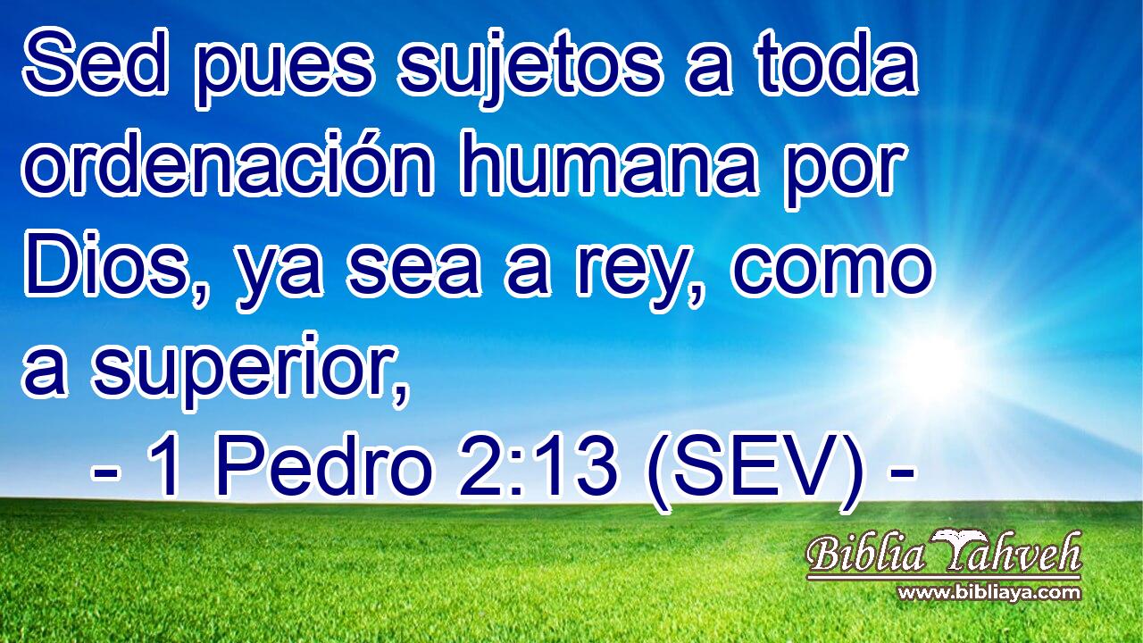 Sed pues sujetos a toda ordenación humana por Dios, ya sea a rey, como a superior,