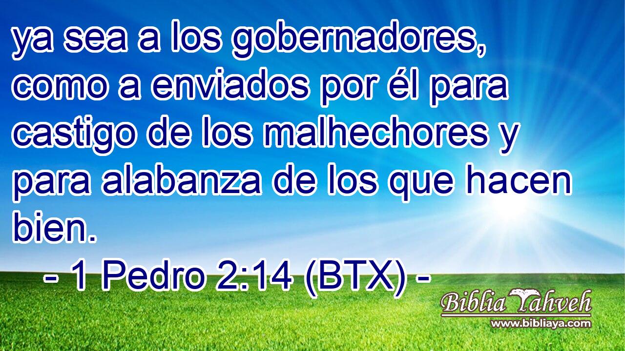 ya sea a los gobernadores, como a enviados por él para castigo de los malhechores y para alabanza de los que hacen bien.