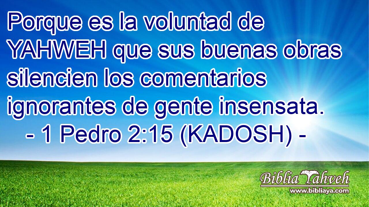  Porque es la voluntad de YAHWEH que sus buenas obras silencien los comentarios ignorantes de gente insensata. 