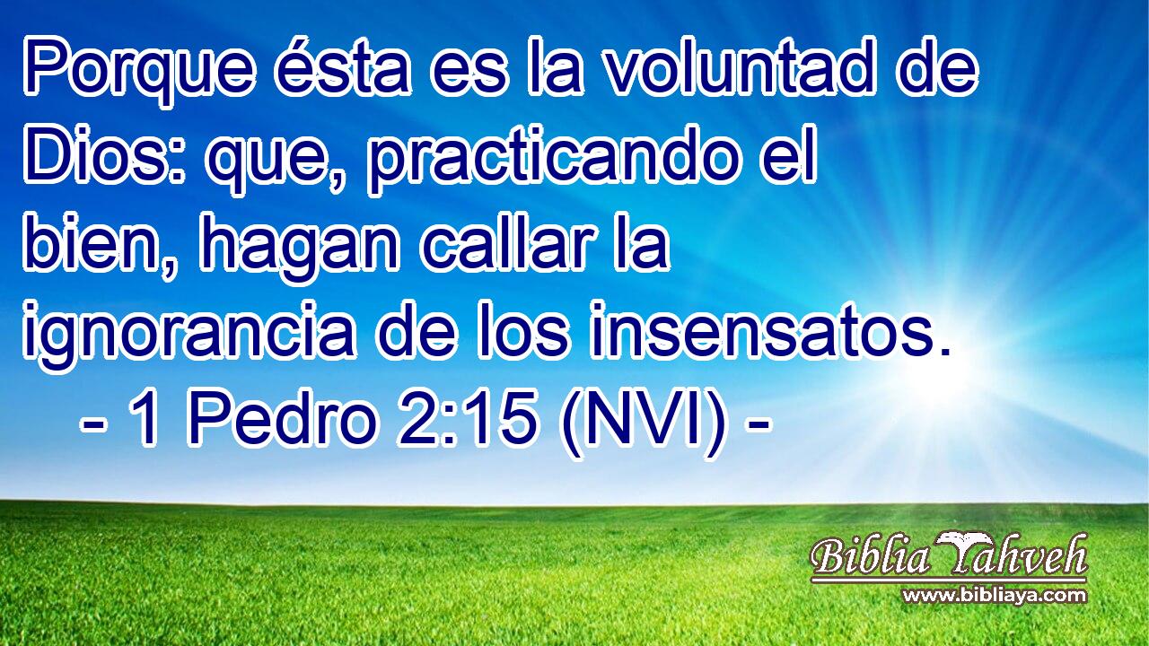  Porque ésta es la voluntad de Dios: que, practicando el bien, hagan callar la ignorancia de los insensatos. 