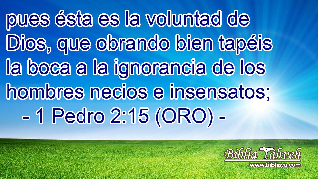  pues ésta es la voluntad de Dios, que obrando bien tapéis la boca a la ignorancia de los hombres necios e insensatos; 