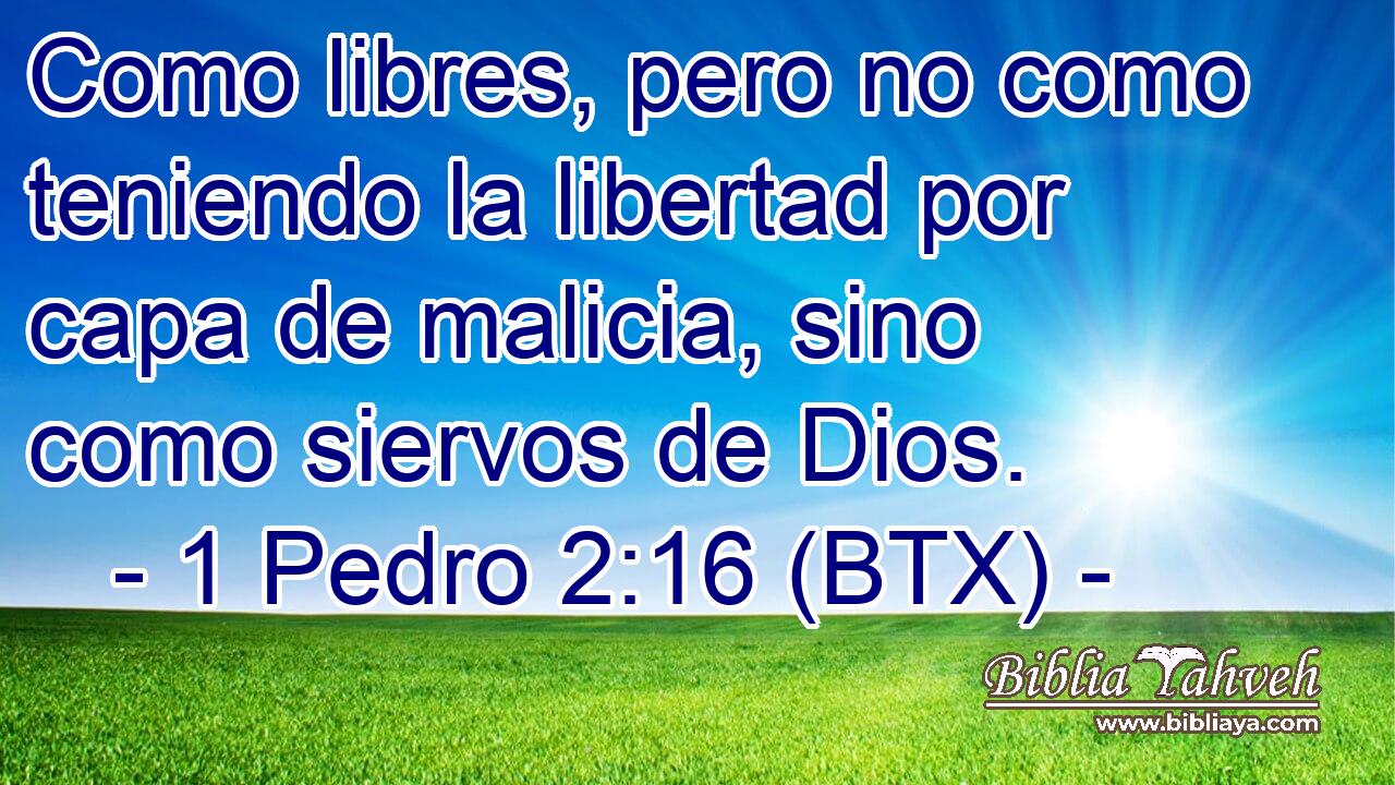 Como libres, pero no como teniendo la libertad por capa de malicia, sino como siervos de Dios.
