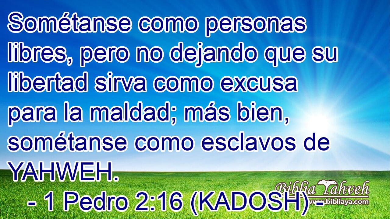  Sométanse como personas libres, pero no dejando que su libertad sirva como excusa para la maldad; más bien, sométanse como esclavos de YAHWEH. 