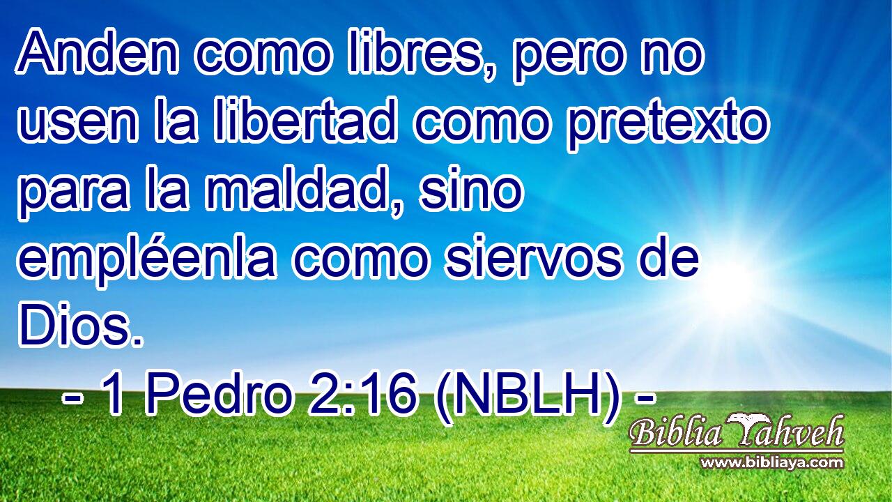  Anden como libres, pero no usen la libertad como pretexto para la maldad, sino empléenla como siervos de Dios. 