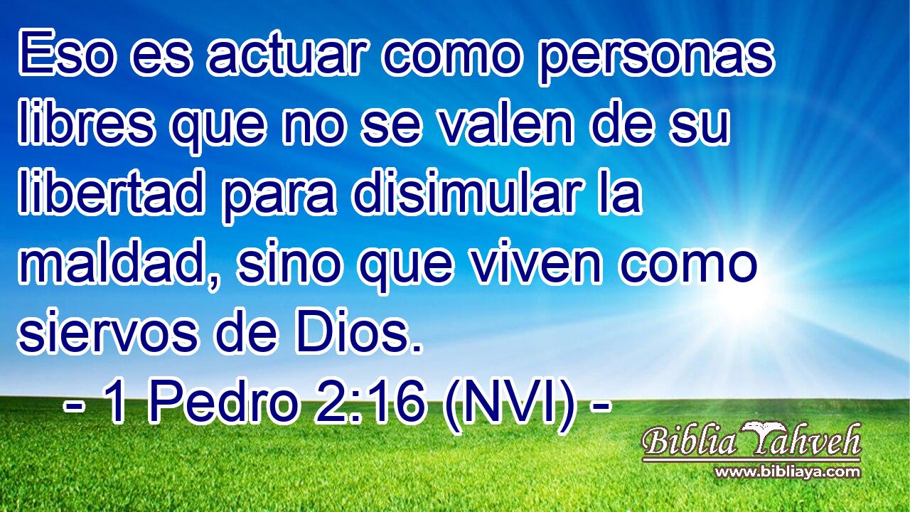  Eso es actuar como personas libres que no se valen de su libertad para disimular la maldad, sino que viven como siervos de Dios. 