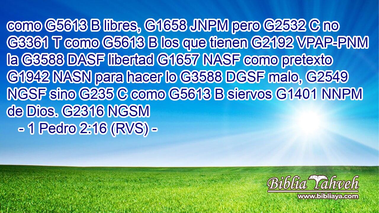 como G5613 B libres, G1658 JNPM pero G2532 C no G3361 T como G5613 B los que tienen G2192 VPAP-PNM la G3588 DASF libertad G1657 NASF como pretexto G1942 NASN para hacer lo G3588 DGSF malo, G2549 NGSF sino G235 C como G5613 B siervos G1401 NNPM de Dios. G2316 NGSM 
