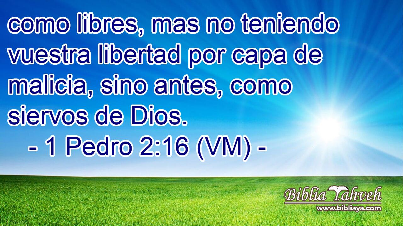  como libres, mas no teniendo vuestra libertad por capa de malicia, sino antes, como siervos de Dios. 