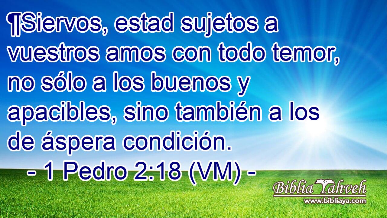  ¶Siervos, estad sujetos a vuestros amos con todo temor, no sólo a los buenos y apacibles, sino también a los de áspera condición. 