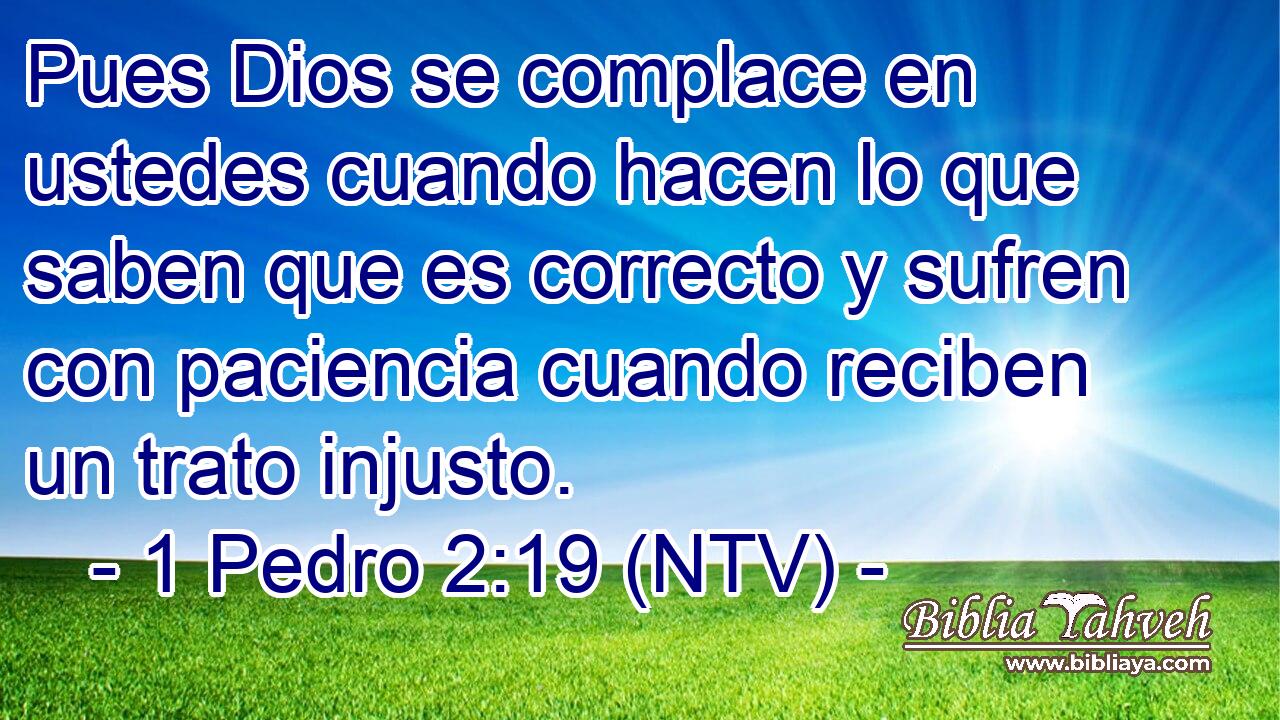 Pues Dios se complace en ustedes cuando hacen lo que saben que es correcto y sufren con paciencia cuando reciben un trato injusto.