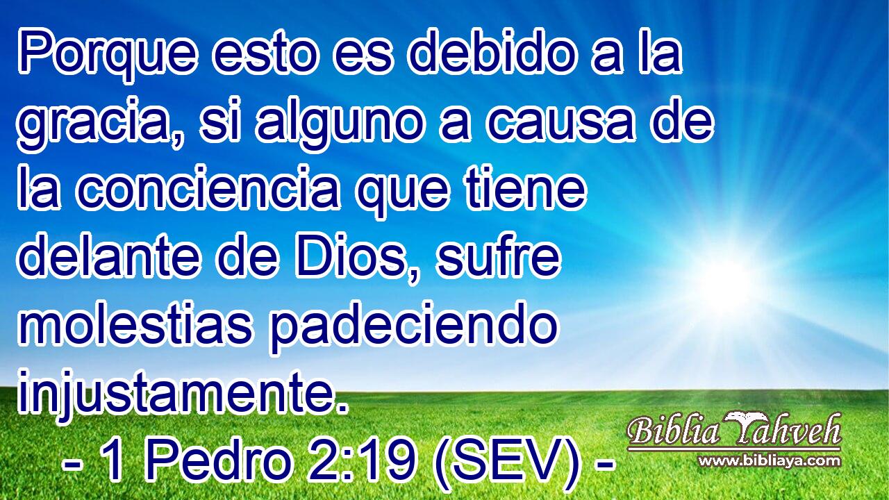 Porque esto es debido a la gracia, si alguno a causa de la conciencia que tiene delante de Dios, sufre molestias padeciendo injustamente.