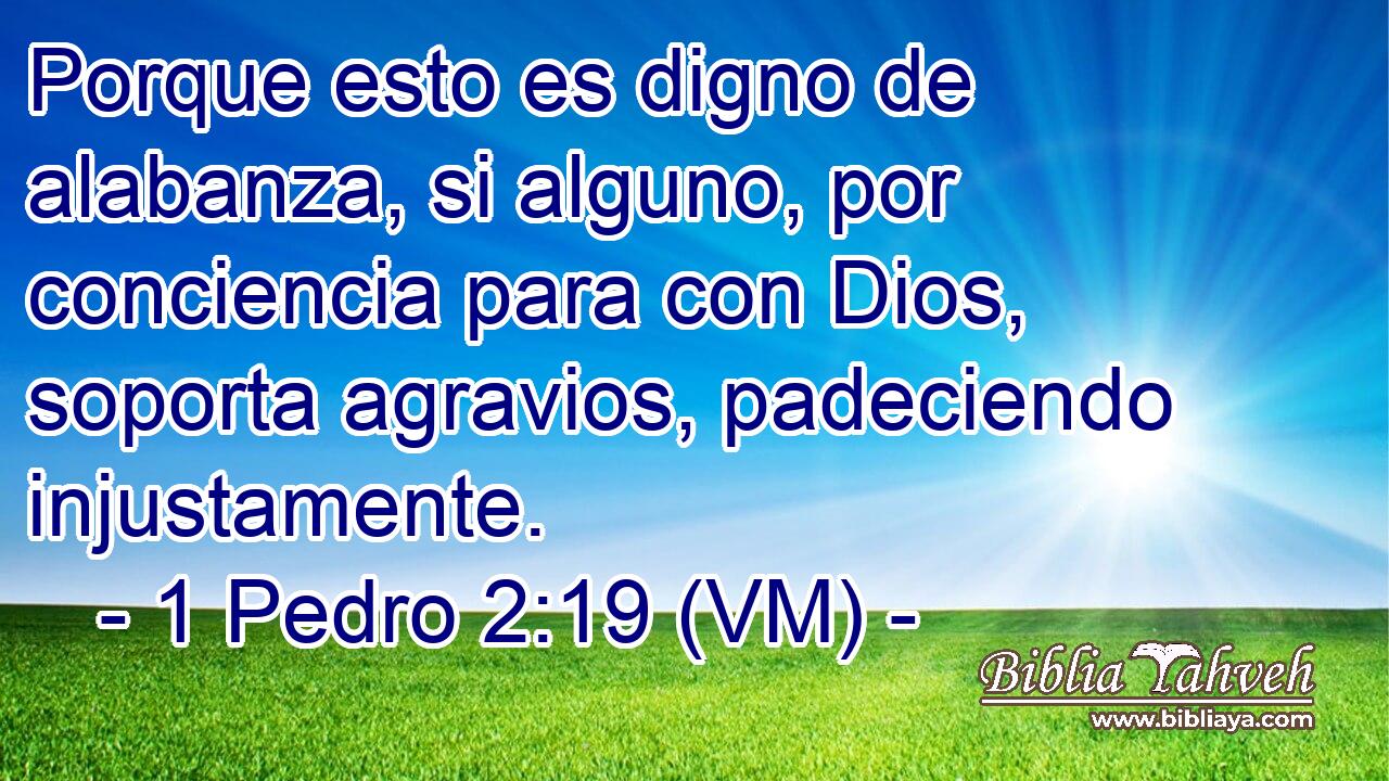  Porque esto es digno de alabanza, si alguno, por conciencia para con Dios, soporta agravios, padeciendo injustamente. 