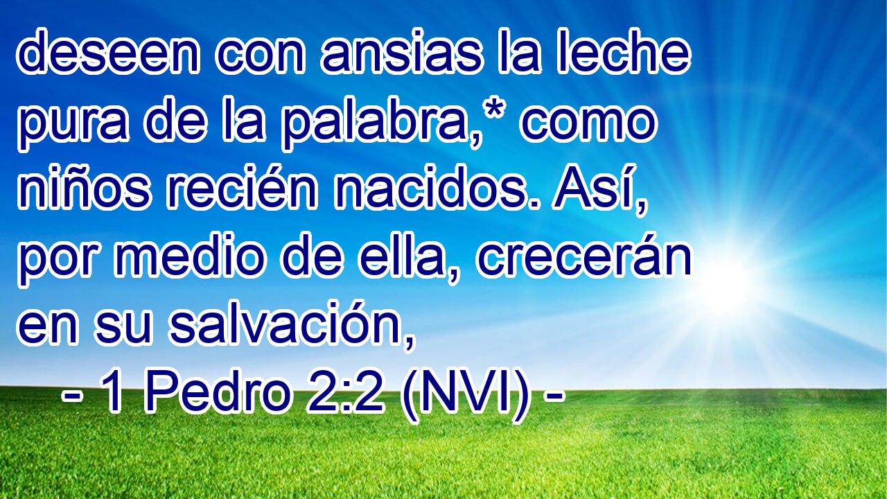  deseen con ansias la leche pura de la palabra,* como niños recién nacidos. Así, por medio de ella, crecerán en su salvación, 