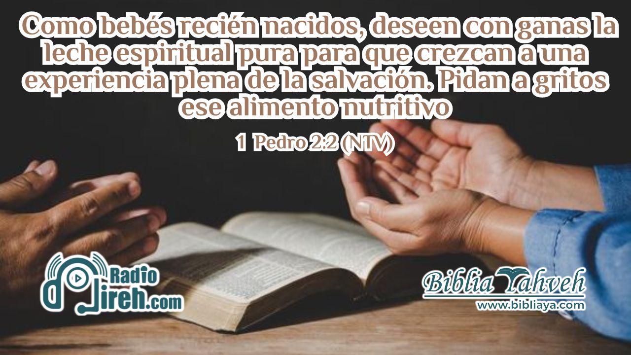 Como bebés recién nacidos, deseen con ganas la leche espiritual pura para que crezcan a una experiencia plena de la salvación. Pidan a gritos ese alimento nutritivo