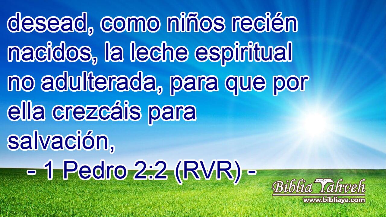 Desead Como Niños Recien Nacidos La Leche Espiritual No Adulterada