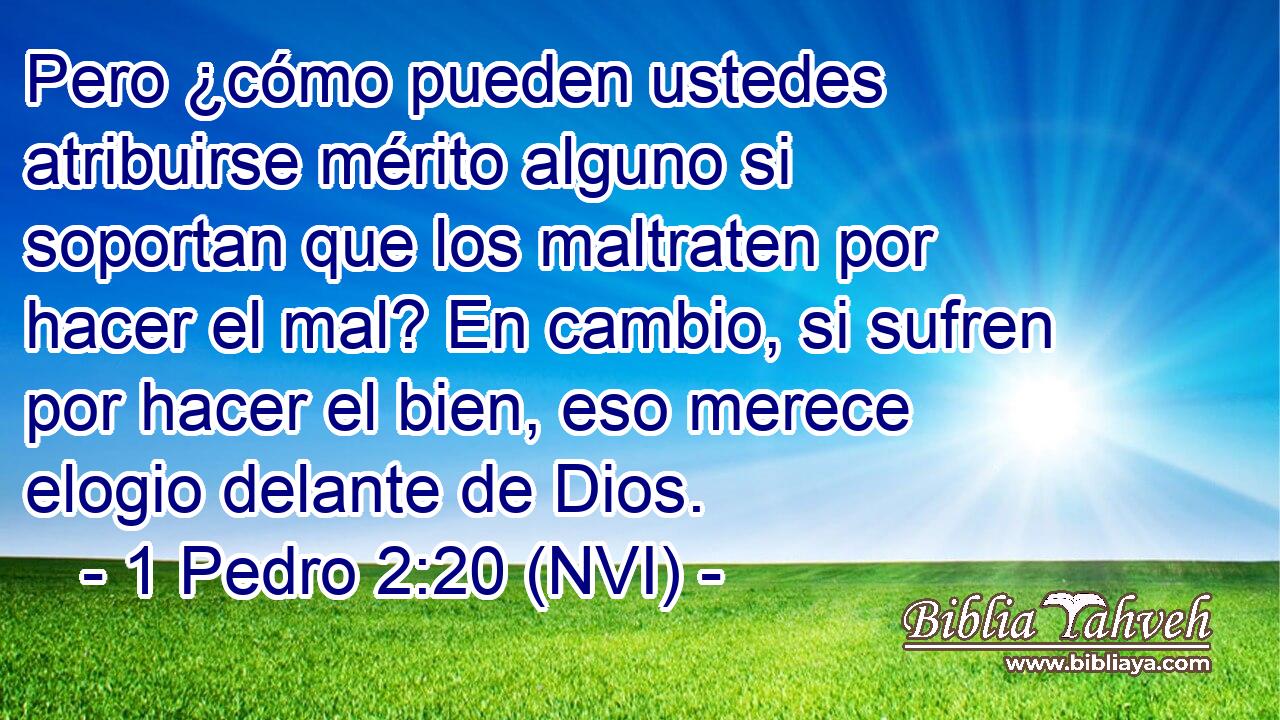  Pero ¿cómo pueden ustedes atribuirse mérito alguno si soportan que los maltraten por hacer el mal? En cambio, si sufren por hacer el bien, eso merece elogio delante de Dios. 