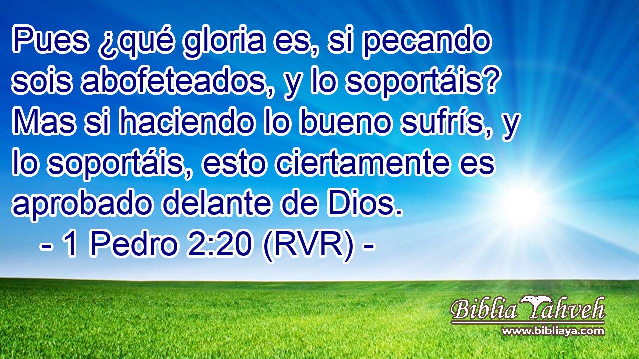Pues ¿qué gloria es, si pecando sois abofeteados, y lo soportáis? Mas si haciendo lo bueno sufrís, y lo soportáis, esto ciertamente es aprobado delante de Dios.